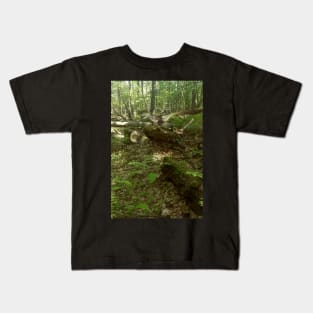 Velociraptors in Nature Kids T-Shirt